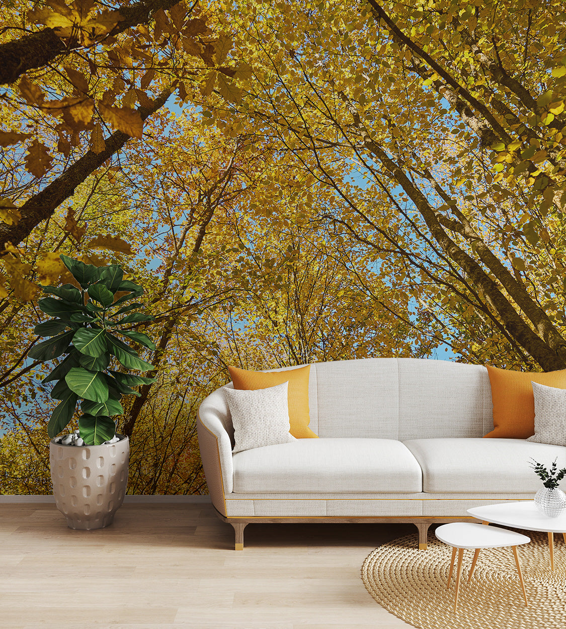 Sunlit autumn leaves wallpaper with vibrant colors