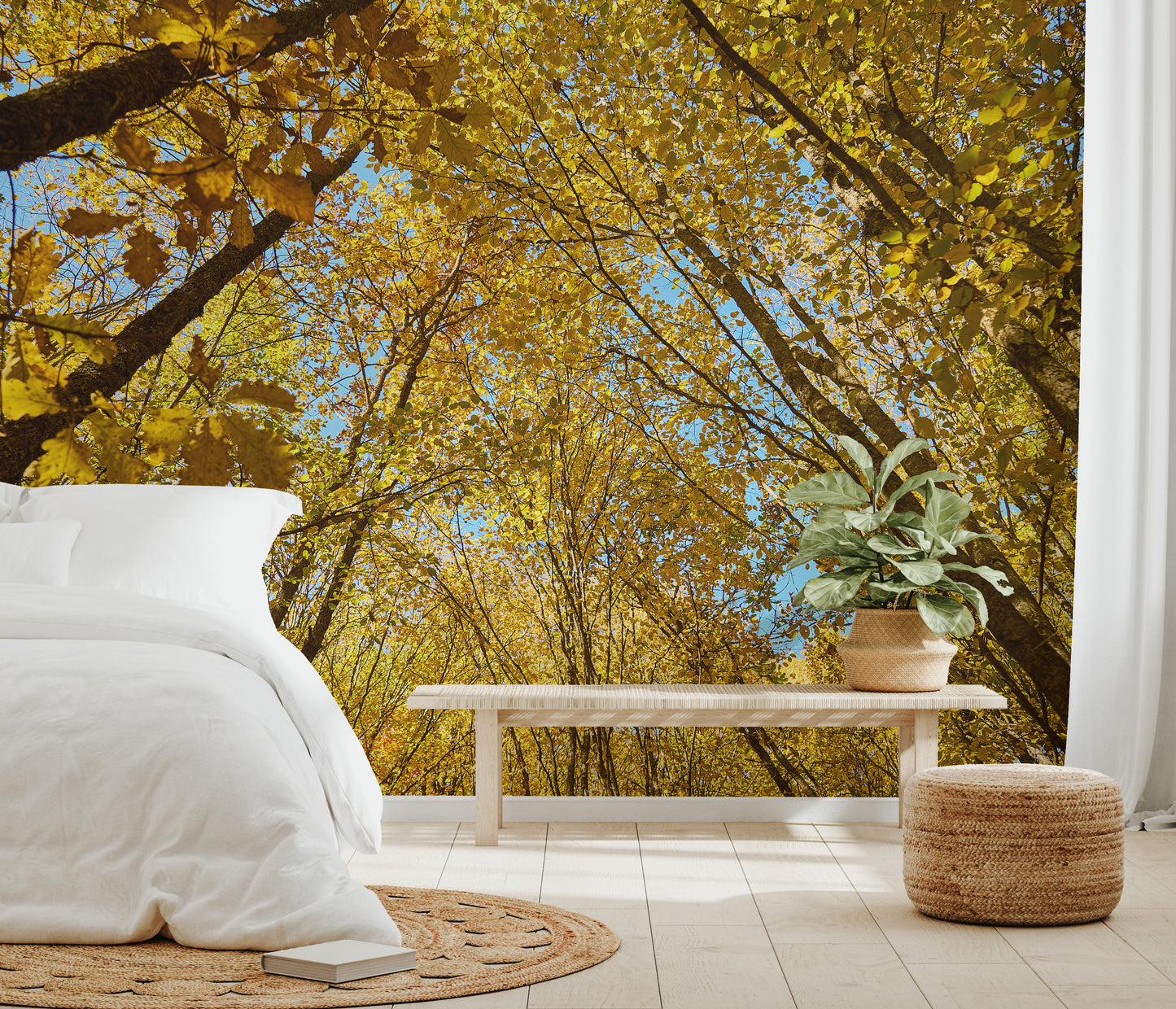 Scenic autumn forest canopy mural with golden tones