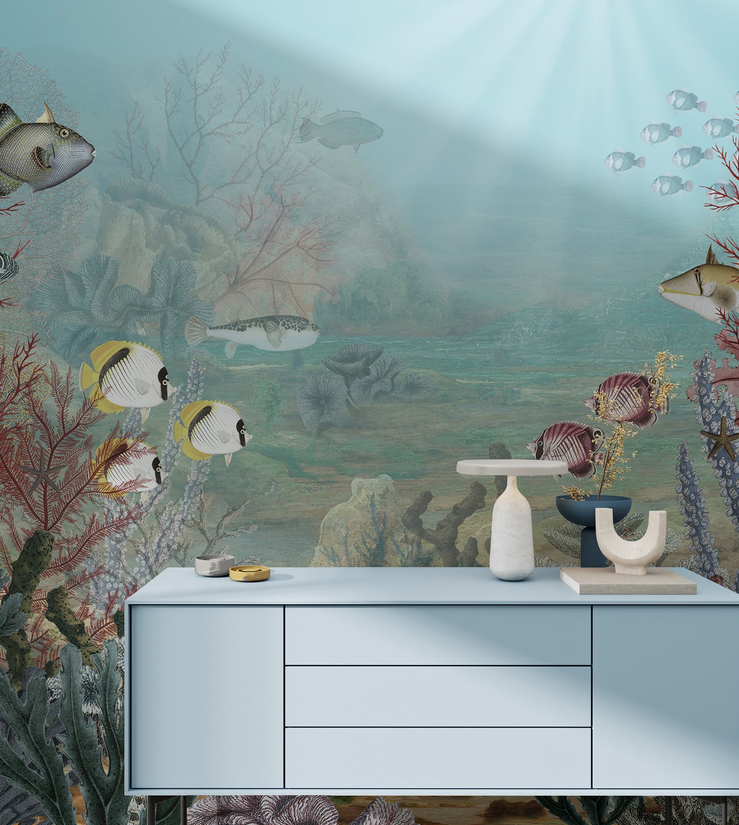Tropical marine life with vivid coral and fish.