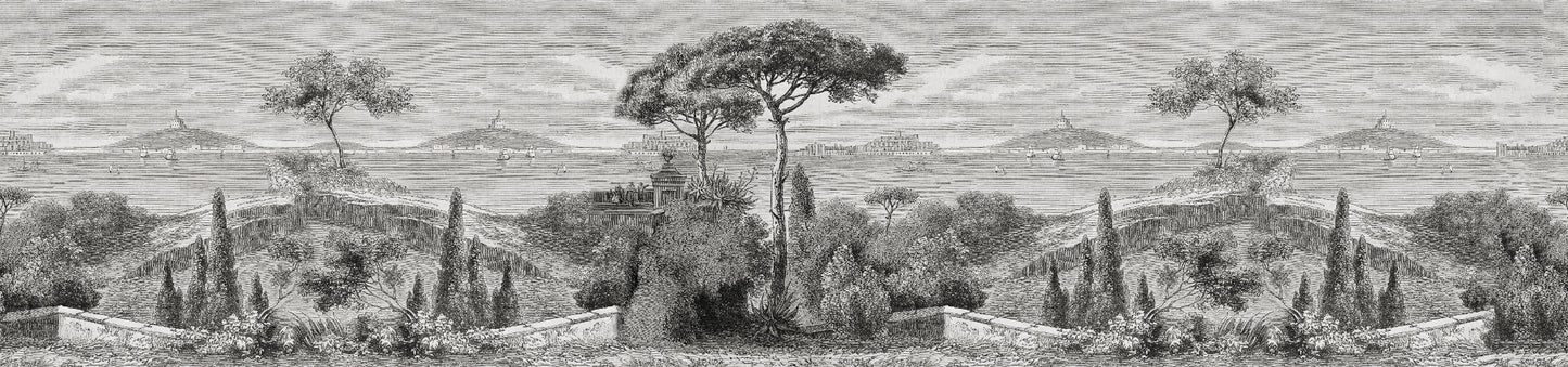 Base Image