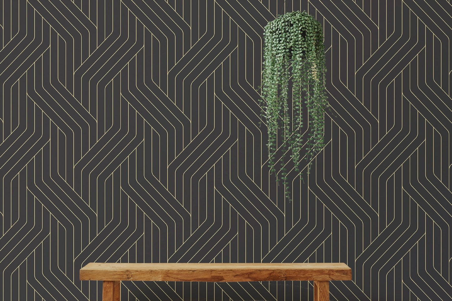 Black and Gold Ornate Rounded Lines Pattern Wallpaper behind a wooden shelf and plant.