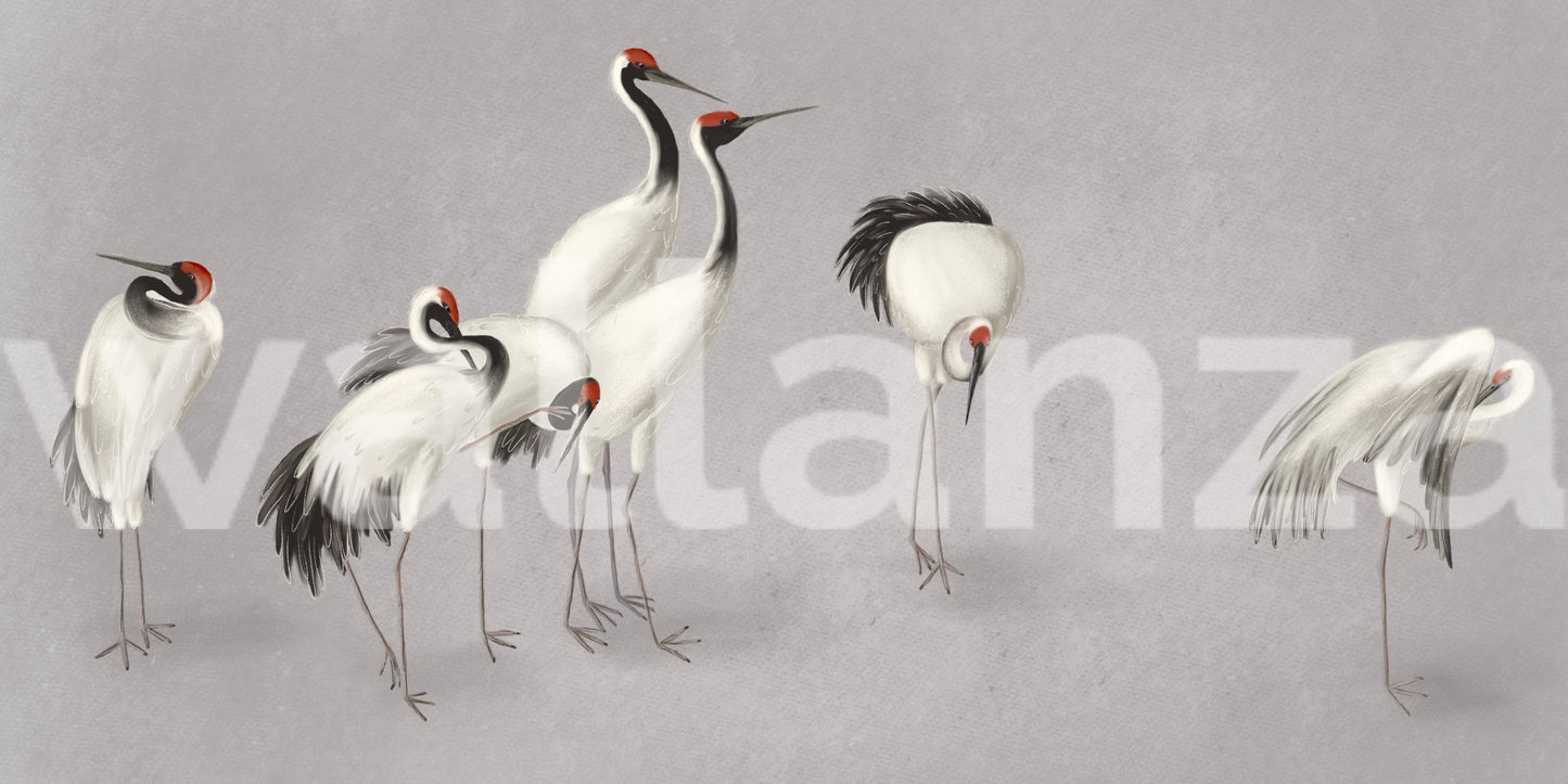 Horizontal layout of crane birds on a grey background for a wide wall mural.
