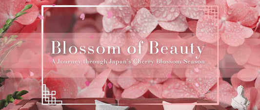 Celebrate Spring with Stunning Cherry Blossom Wallpapers