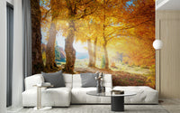 Fall Wallpaper