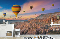Sunset balloon mural for tranquil spaces
