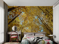 Warm-toned nature wall mural with fall tree canopy
