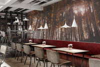 Autumn Forest Sunset Wallpaper
