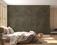 Ancient Koi Echoes Wall Mural