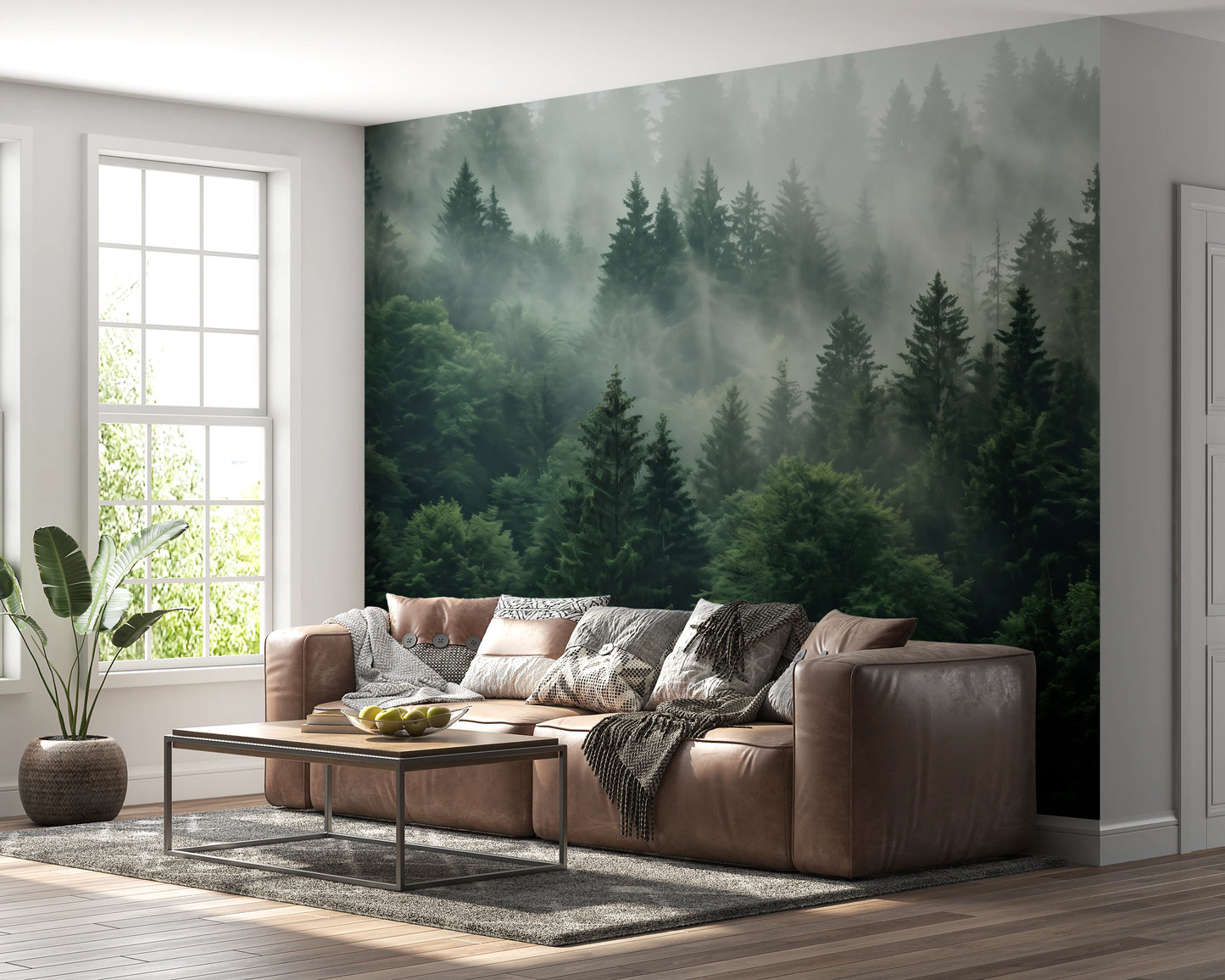 Misty Morning Pine Forest Nature Mural Wall Mural