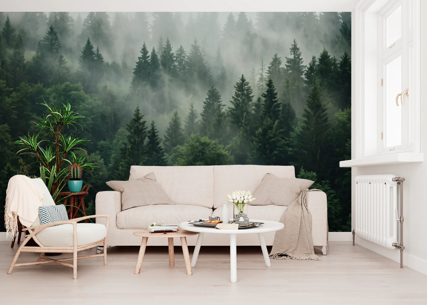 Misty Morning Pine Forest Nature Mural Wall Mural