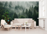Misty Morning Pine Forest Nature Mural Wall Mural