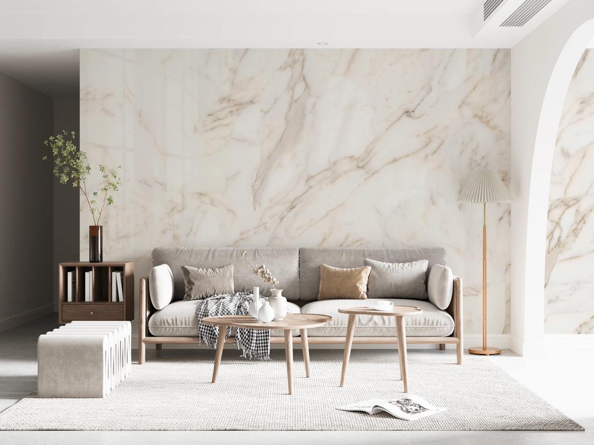 White marble stone mural on a living room wall backdrop