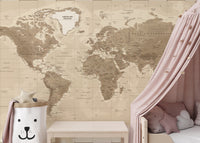 Detailed antique map mural wallpaper design
