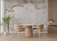 Classic veined marble design for walls
