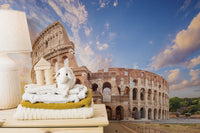 Rome's Majestic Ruins Wallpaper Mural Décor
