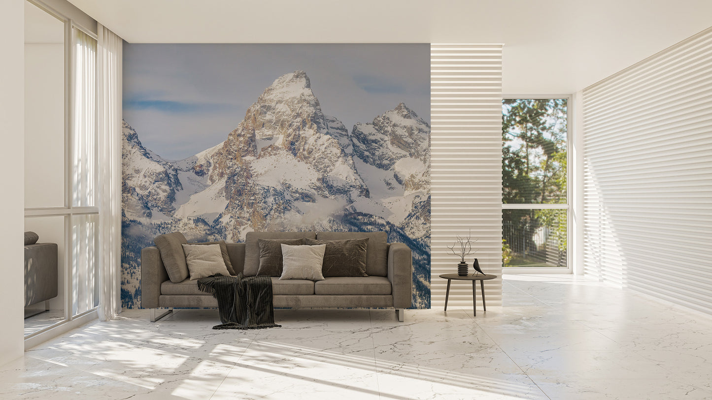Scenic rocky summit panorama wall decor mural.
