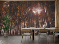 Sun-Kissed Woods Wallpaper Mural
