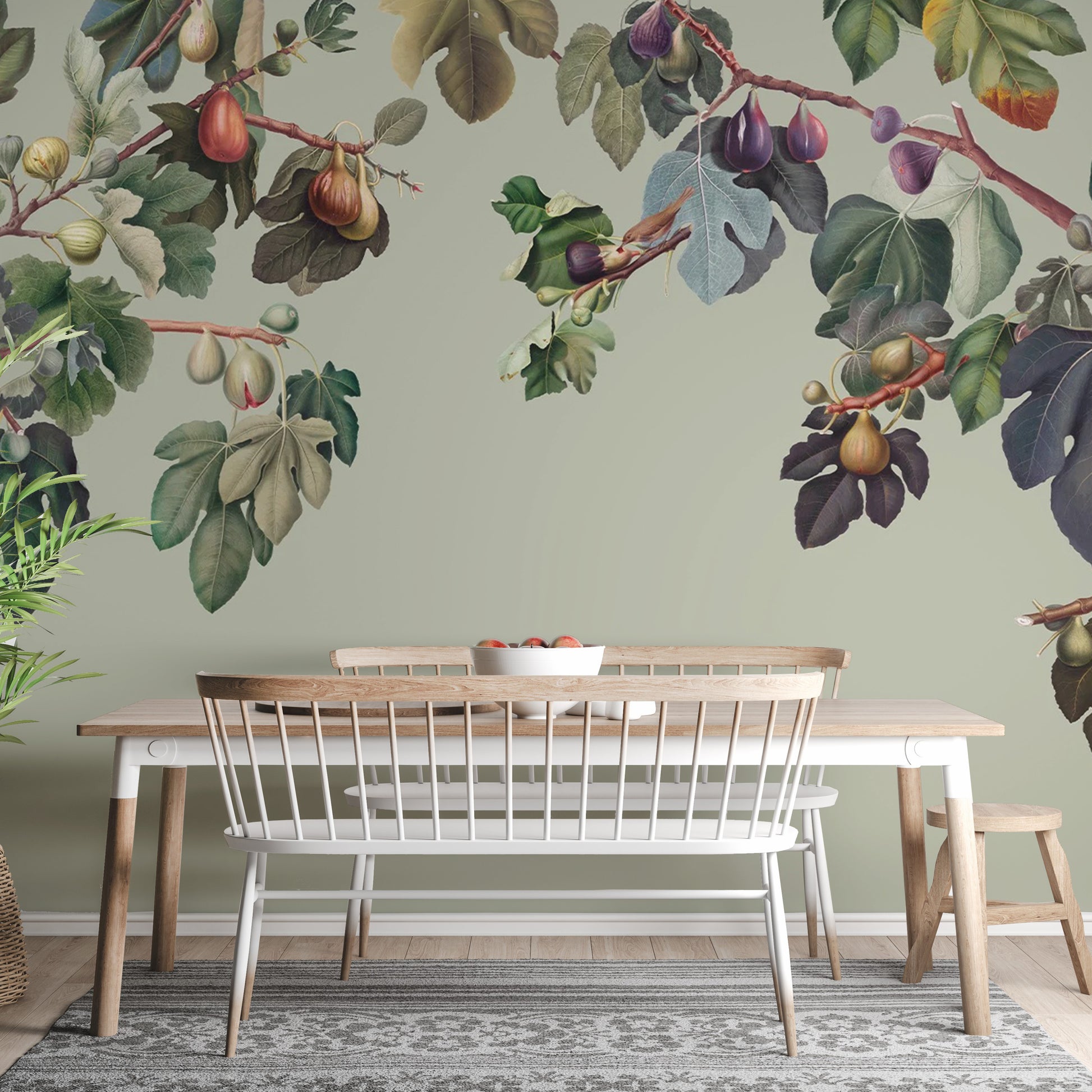 Gentle green fig tree mural for serene room designs
