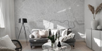 Urban map mural wallpaper with intricate details
