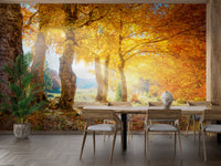 Autumn Leaves Forest Wallpaper Mural in Yellow Hues