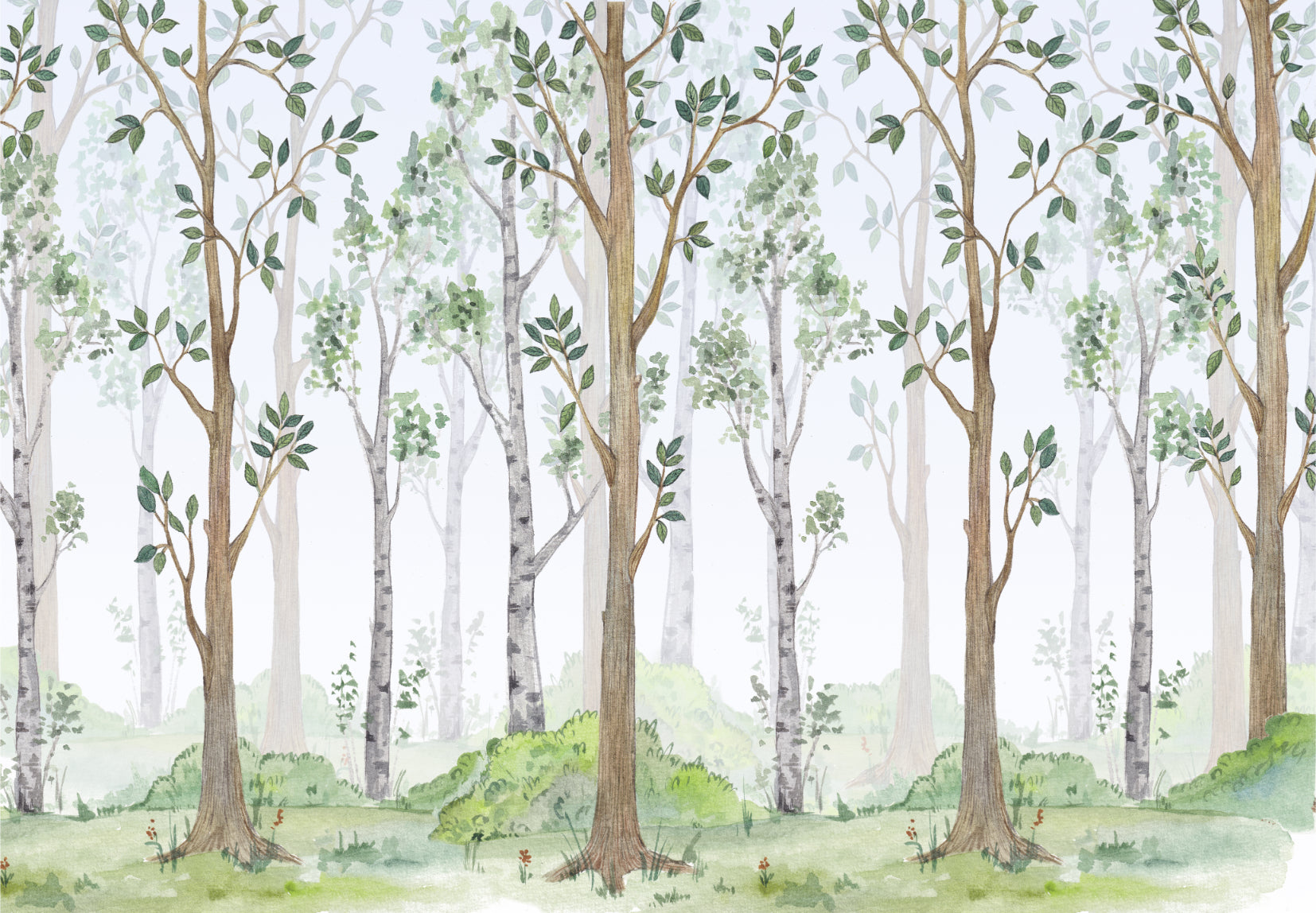 Watercolor Green Forest Wallpaper Mural