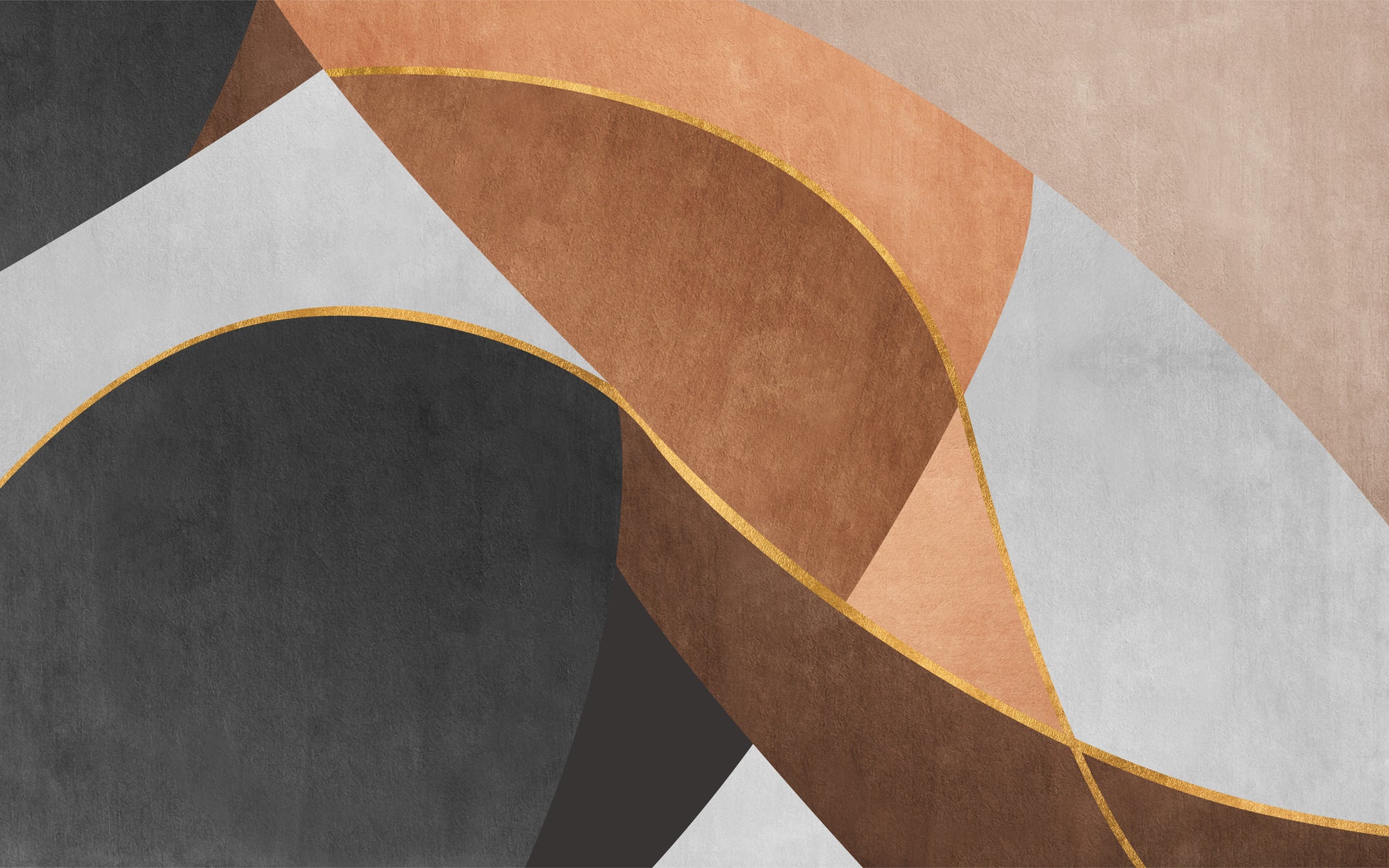 Modern Abstract Curves Wall Mural