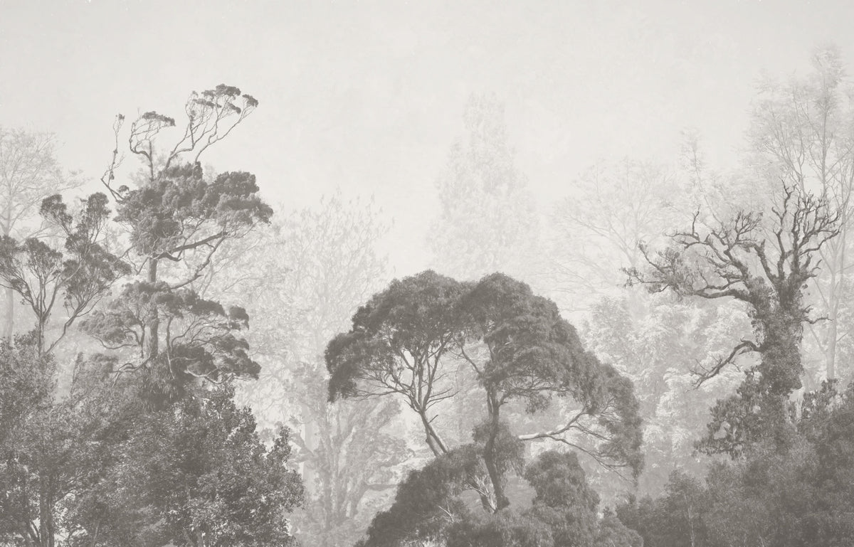 Misty Forest Grunge Wall Mural
