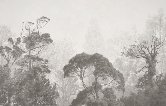 Misty Forest Grunge Wall Mural