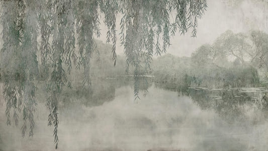 Willow Branches Over Misty Lake Wallpaper