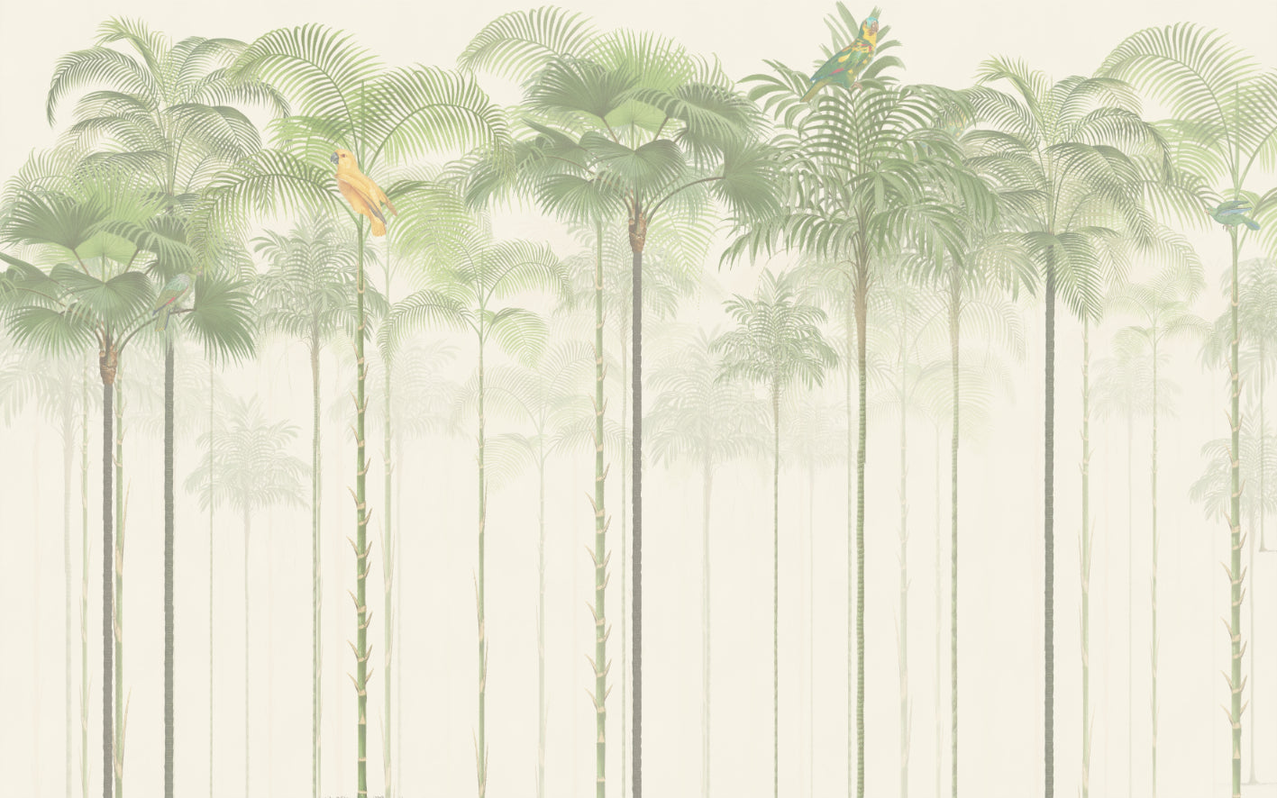 Green Tropical Palm Tree Wallpaper