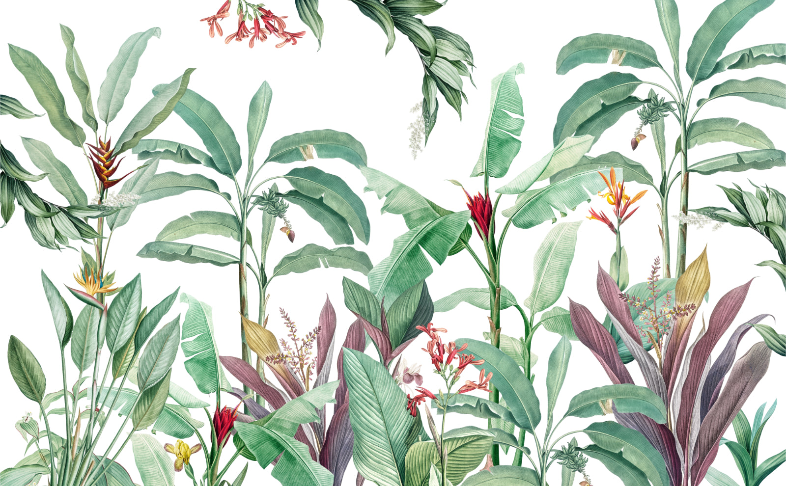 Tropical Banana Leaf Botanical Wallpaper
