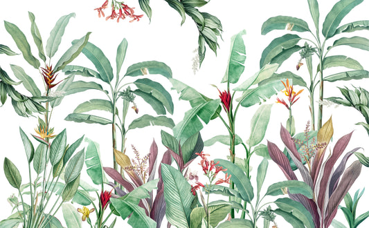 Tropical Banana Leaf Botanical Wallpaper