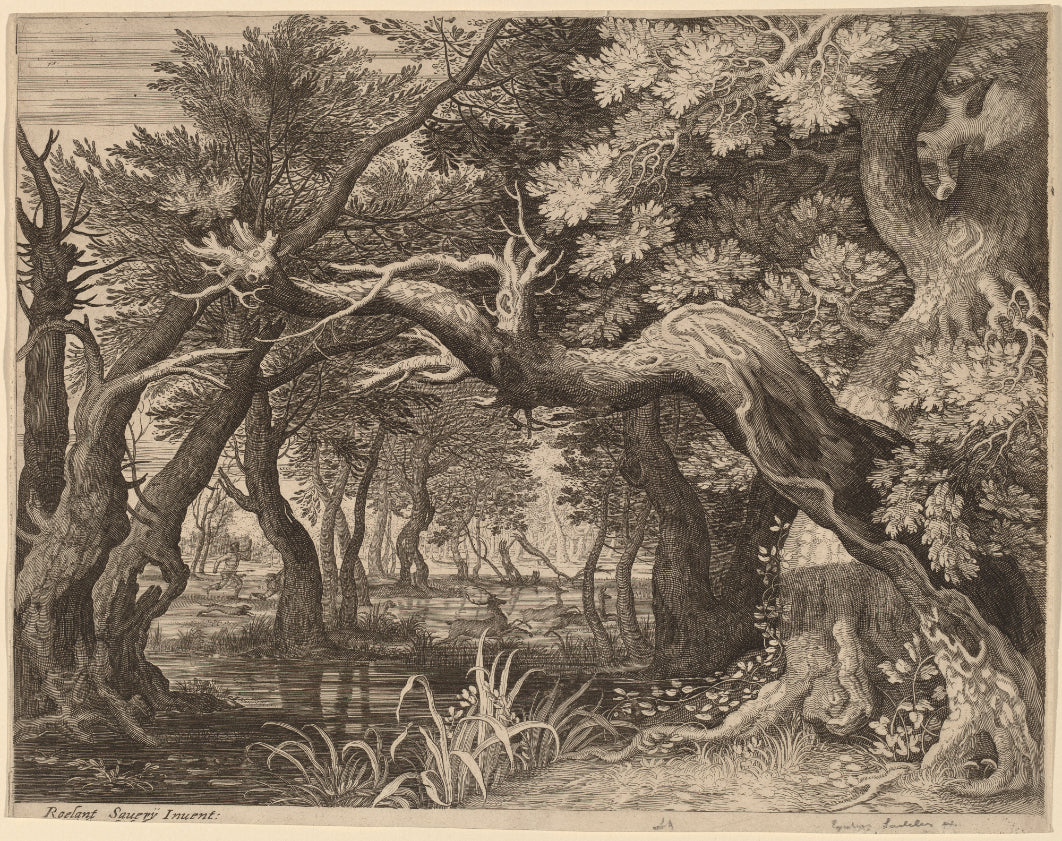 Vintage Forest Landscape Print Wallpaper in your room — zoomed
