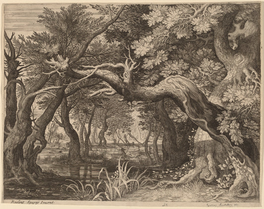 Vintage Forest Landscape Print Wallpaper
