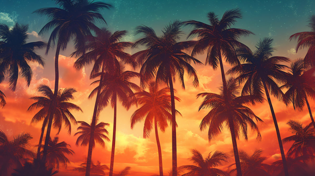 Tropical Sunset Palm Tree Wallpaper in your room — zoomed