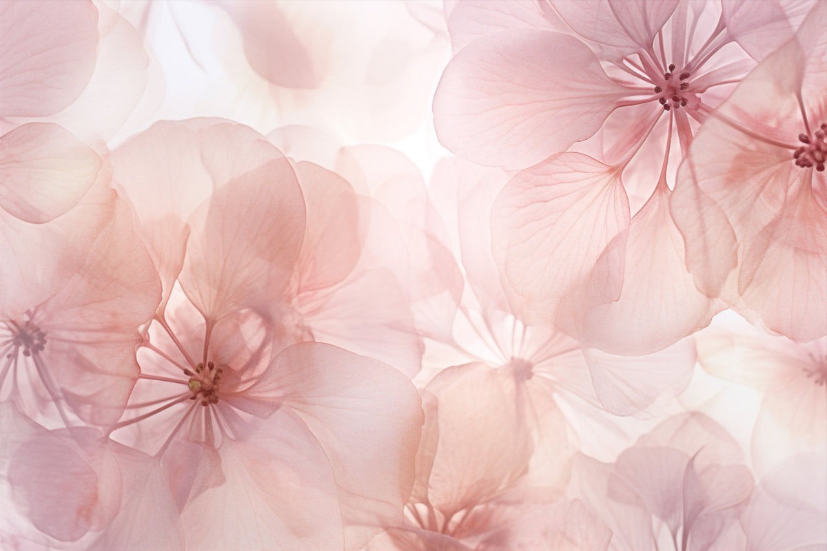 Soft Pink Floral Wallpaper