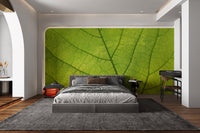 Nature-inspired green leaf wallpaper
