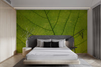 Close-up leaf veins wall decor
