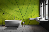 Fresh green leaf texture wallpaper
