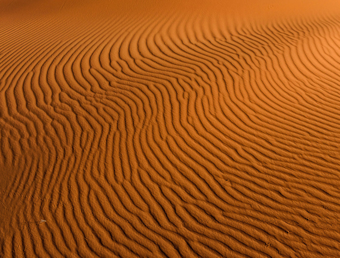 Desert Sand Dune Texture Wallpaper in your room — zoomed