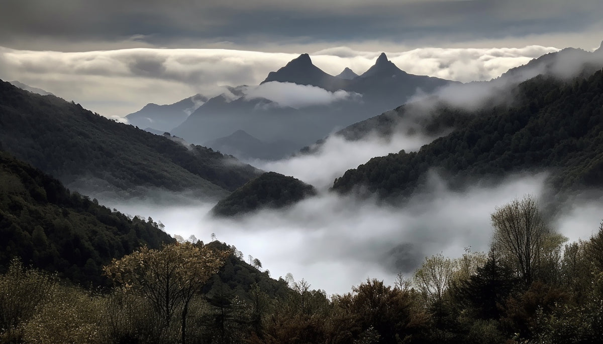 Foggy Mountain Valley Wallpaper in your room — zoomed