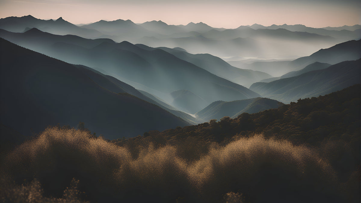 Sunrise Misty Mountain Wallpaper in your room