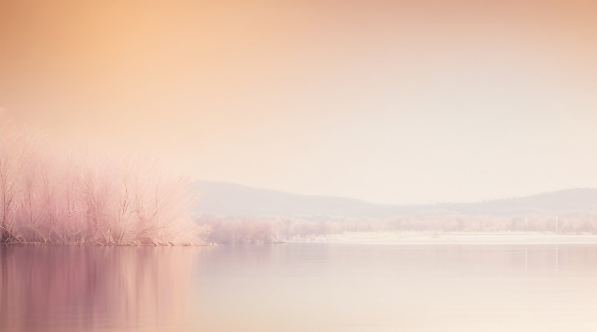 Peachy Mist Lake Wallpaper