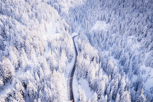 Winter Wonderland Forest Wallpaper