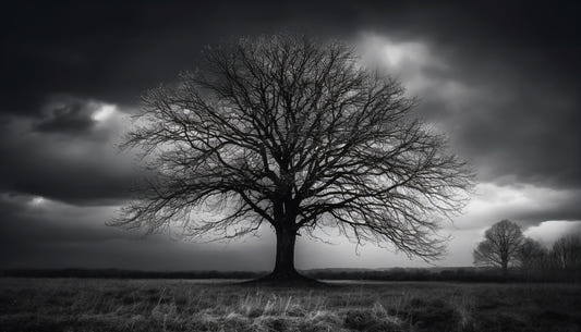 Moody Silhouette Tree Wallpaper