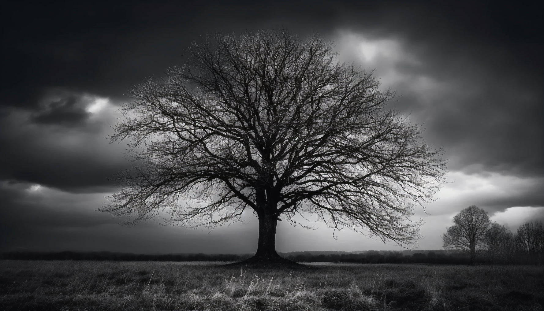 Moody Silhouette Tree Wallpaper