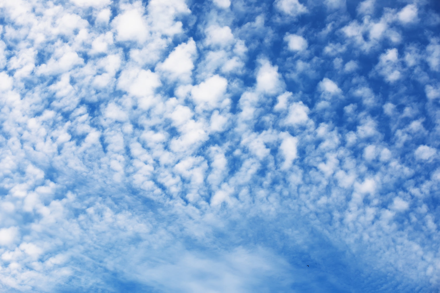 Blue Sky Cloudscape Wallpaper