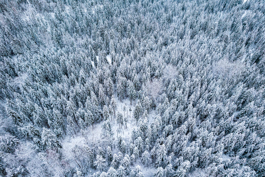 Snowy Winter Forest Aerial Wallpaper