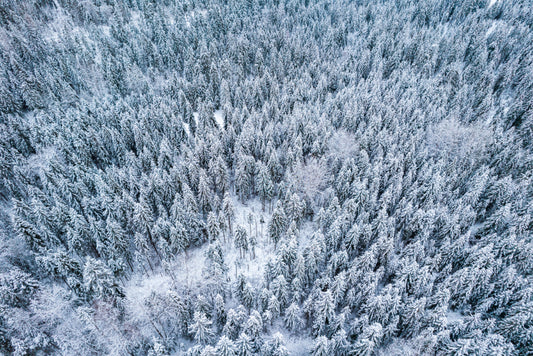 Snowy Winter Forest Aerial Wallpaper