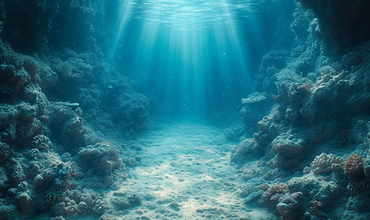 Underwater Coral Reef Wallpaper